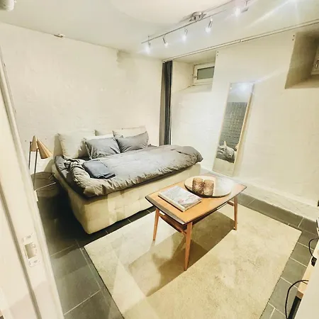 公寓 Modern Flat In Frogner Close To The Royal Castle